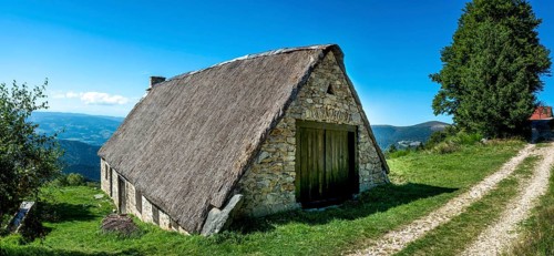 Farm