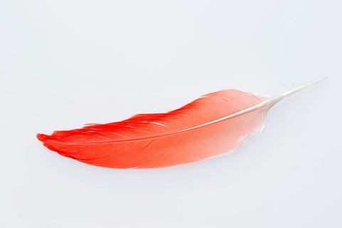 Red Sickler