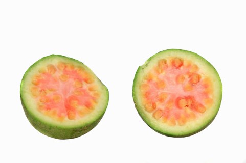 Common Guava
