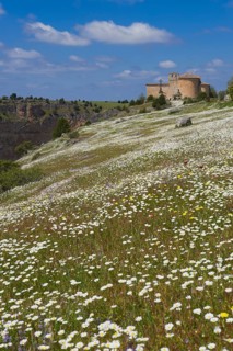 San Frutos del Duraton Hermitage