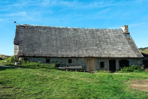 Farm