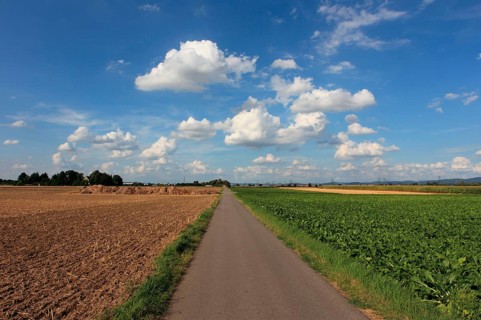 Field path between fields