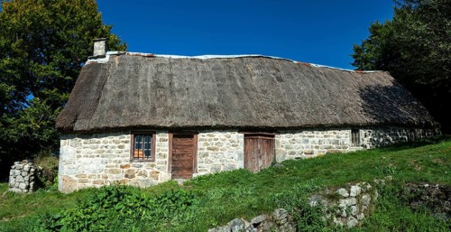 Farm