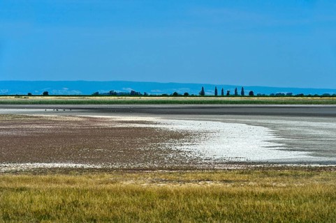 Hut pastures with salt efflorescence in the preservation zone of the Lange Lacke