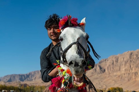 Horse rider at a Buzkashi game