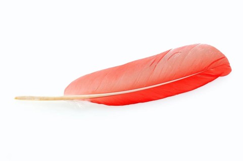 Red Sickler
