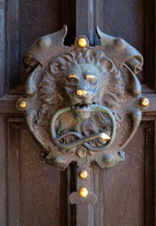 Lion's head