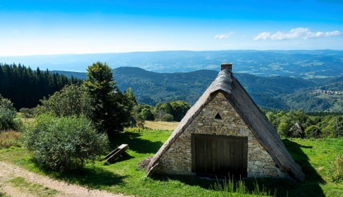 Farm