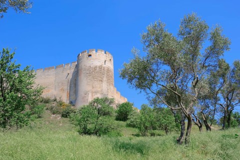 Fort Saint Andre