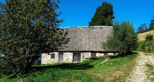 Farm