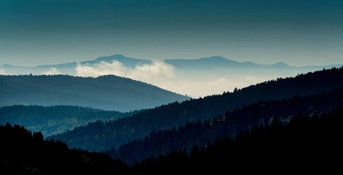 Haut Forez landscape