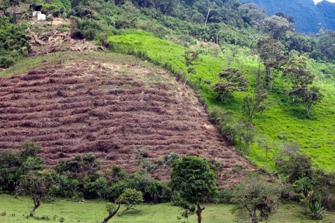 Agricultural land