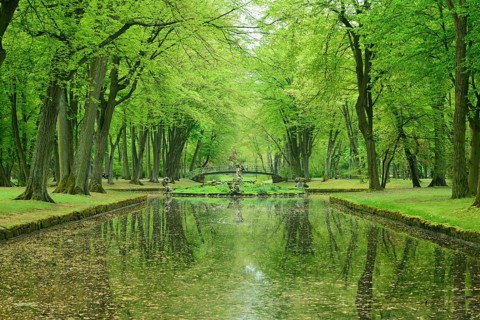 Court Garden