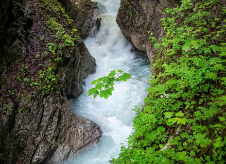 Mountain stream flowing through a narrow gorge