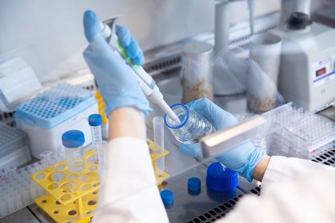 Medical laboratory assistant fills liquid into a vessel with a pipette