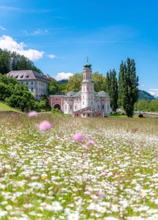 Flower meadow in front of the monastery St. Karl