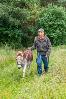 Man walking with a donkey