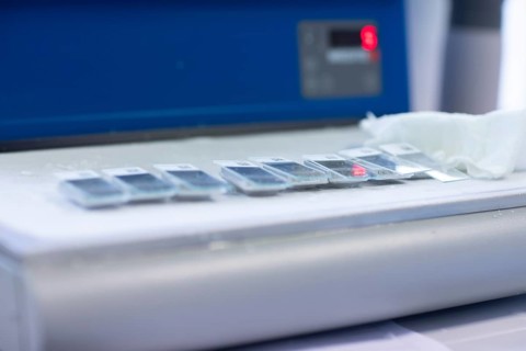 Embedded samples in a histology laboratory