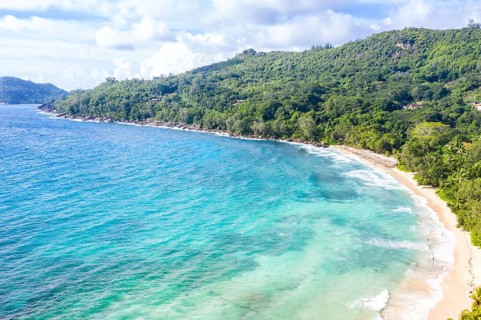 Takamaka Beach with Palm Trees Sea Ocean Drone Shot in Mahe
