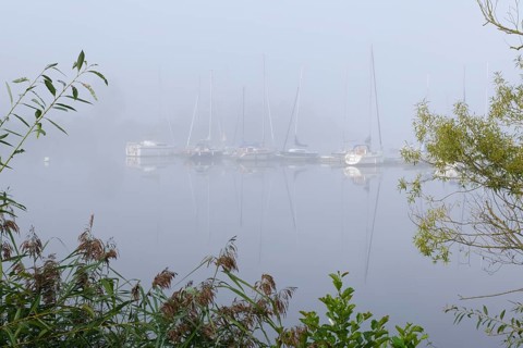 Marina in the fog