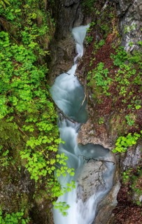 Mountain stream flowing through a narrow gorge