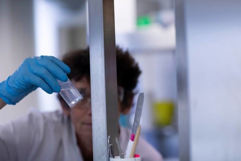 Technician working in a laboratory