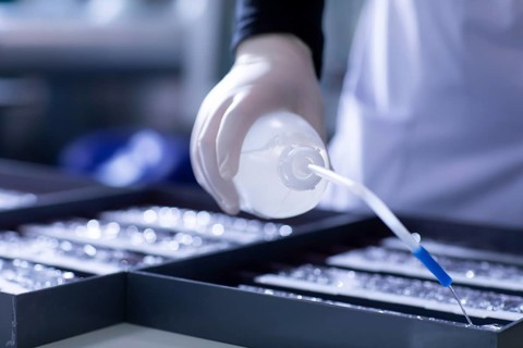 Sample processing with rinsing cycle in a histology laboratory