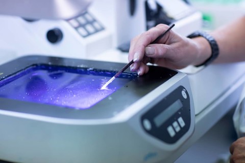 Processing of samples in a histology laboratory