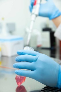 Medical laboratory assistant fills a blood sample into a centrifuge tube with a pipette