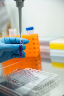 Medical laboratory assistant takes samples from a reaction vessel and fills them into a multiwell tray with a pipette
