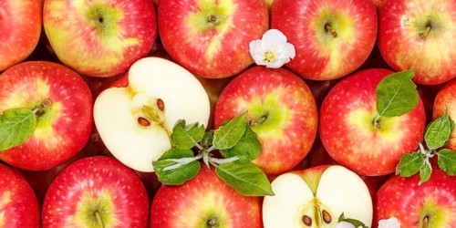 Apples Fruits red apple fruit with blossoms and leaves from above Panorama