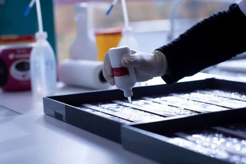 Sample processing with marker application in a histology laboratory
