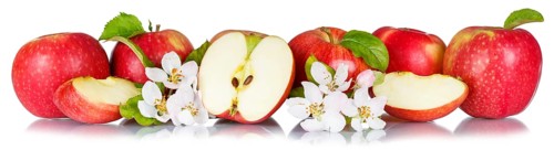 Apples fruits red apple fruit with flowers and leaves in a row crop isolated
