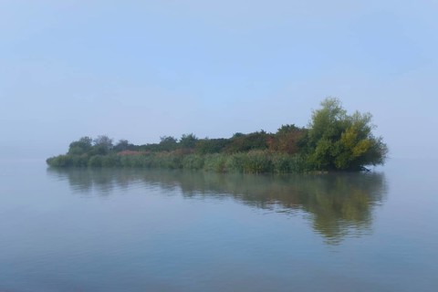 Green island in the fog
