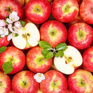 Apples fruits red apple fruit with flowers and leaves from above square