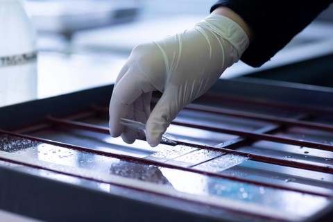 Sample processing with laboratory equipment in a histology laboratory
