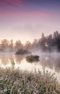 Autumnal morning mood at a pond in the nature reserve Wildert in Illnau