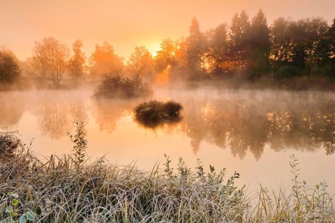 Autumnal morning mood at a pond in the nature reserve Wildert in Illnau