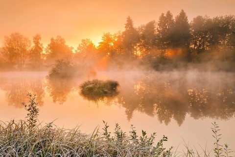 Autumnal morning mood at a pond in the nature reserve Wildert in Illnau
