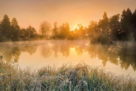 Autumnal morning mood at a pond in the nature reserve Wildert in Illnau