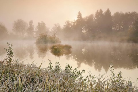 Autumnal morning mood at a pond in the nature reserve Wildert in Illnau