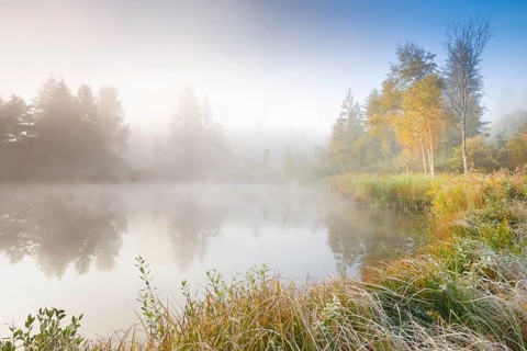 Autumn atmosphere at a tree-lined pond