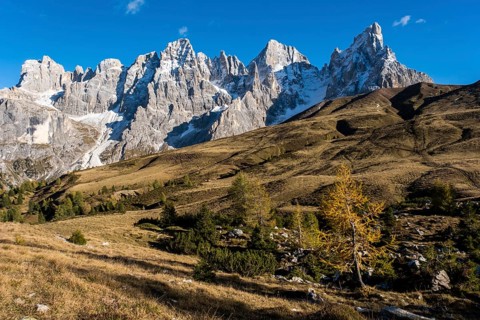 Cimon della Pala