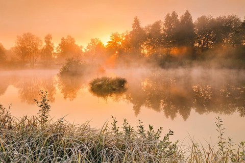 Autumnal morning mood at a pond in the nature reserve Wildert in Illnau