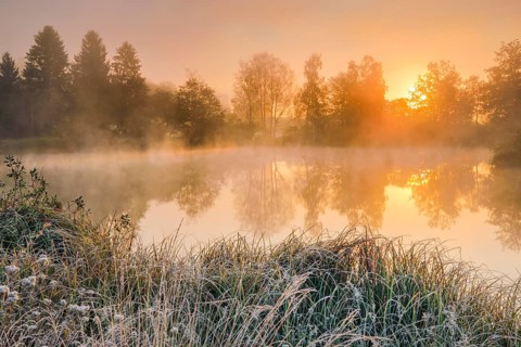 Autumnal morning mood at a pond in the nature reserve Wildert in Illnau