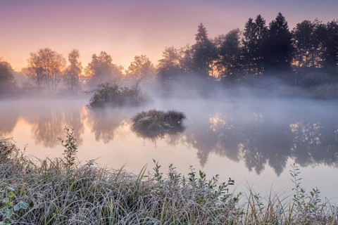 Autumnal morning mood at a pond in the nature reserve Wildert in Illnau