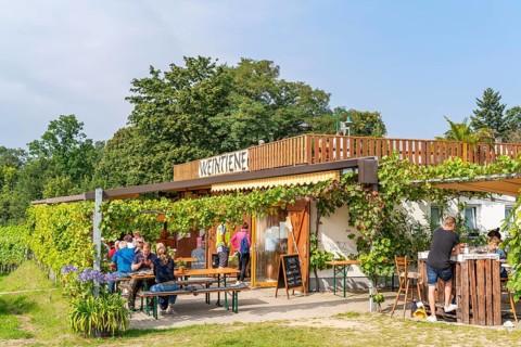 Restaurant Weintiene