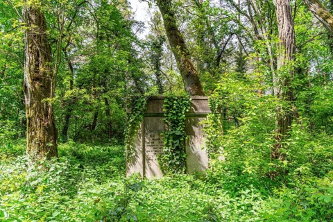 Historical cemetery Suedwestkirchhof Stahnsdorf