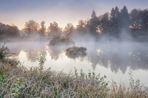 Autumnal morning mood at a pond in the nature reserve Wildert in Illnau