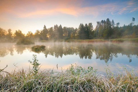 Autumnal morning mood at a pond in the nature reserve Wildert in Illnau